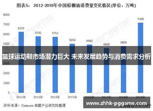 篮球运动鞋市场潜力巨大 未来发展趋势与消费需求分析