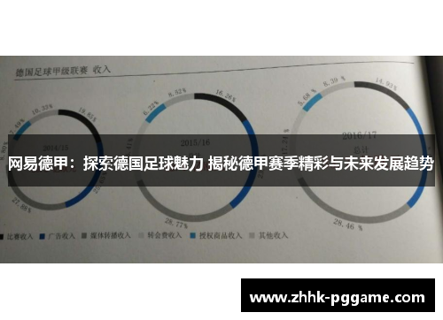 网易德甲：探索德国足球魅力 揭秘德甲赛季精彩与未来发展趋势