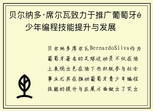 贝尔纳多·席尔瓦致力于推广葡萄牙青少年编程技能提升与发展