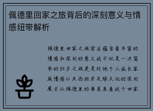 佩德里回家之旅背后的深刻意义与情感纽带解析