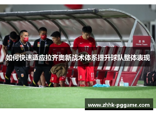 如何快速适应拉齐奥新战术体系提升球队整体表现